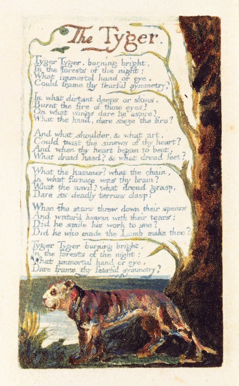 "The Tyger", levy 41 kappaleesta "Songs of Experience", 1794 (reliefetsaus wc:llä) tekijältä William Blake