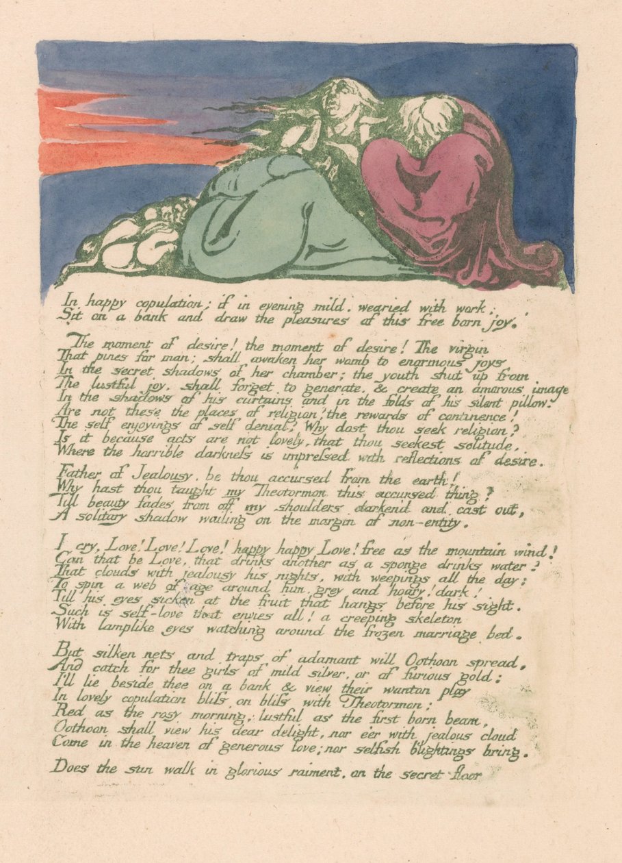 Visions of the Daughters of Albion, levy 10, tekijältä William Blake