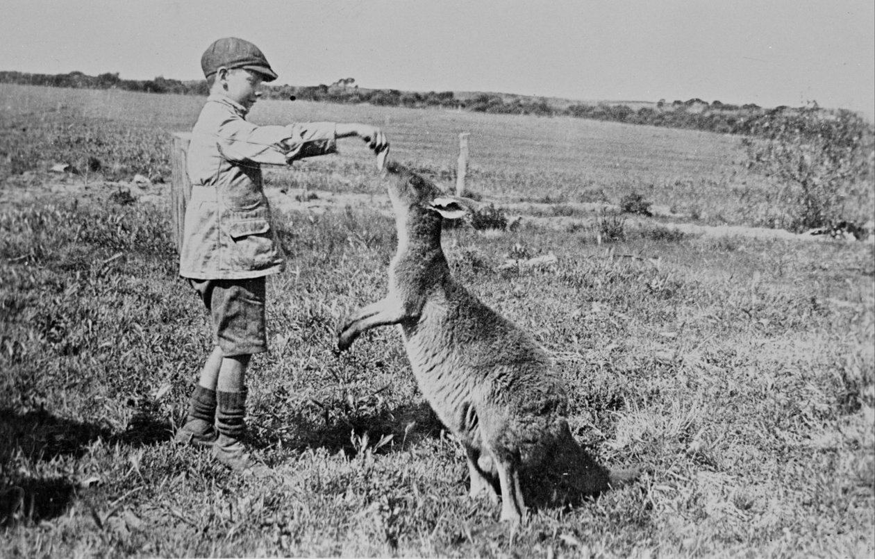 Paddy Dickson ruokkii Kanga Joeta tekijältä William Boyd