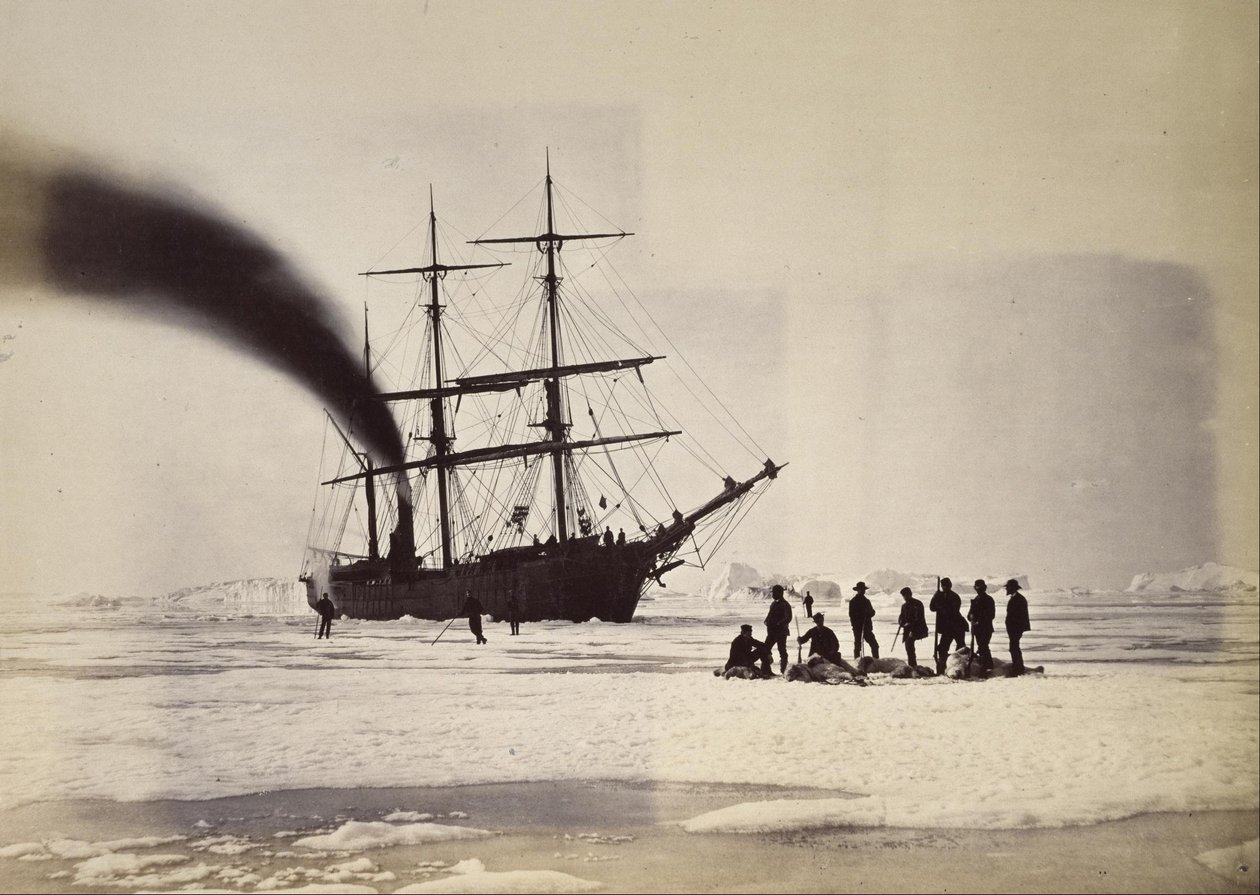 Metsästys Steamin kautta Melville Bayssä tekijältä William Bradford