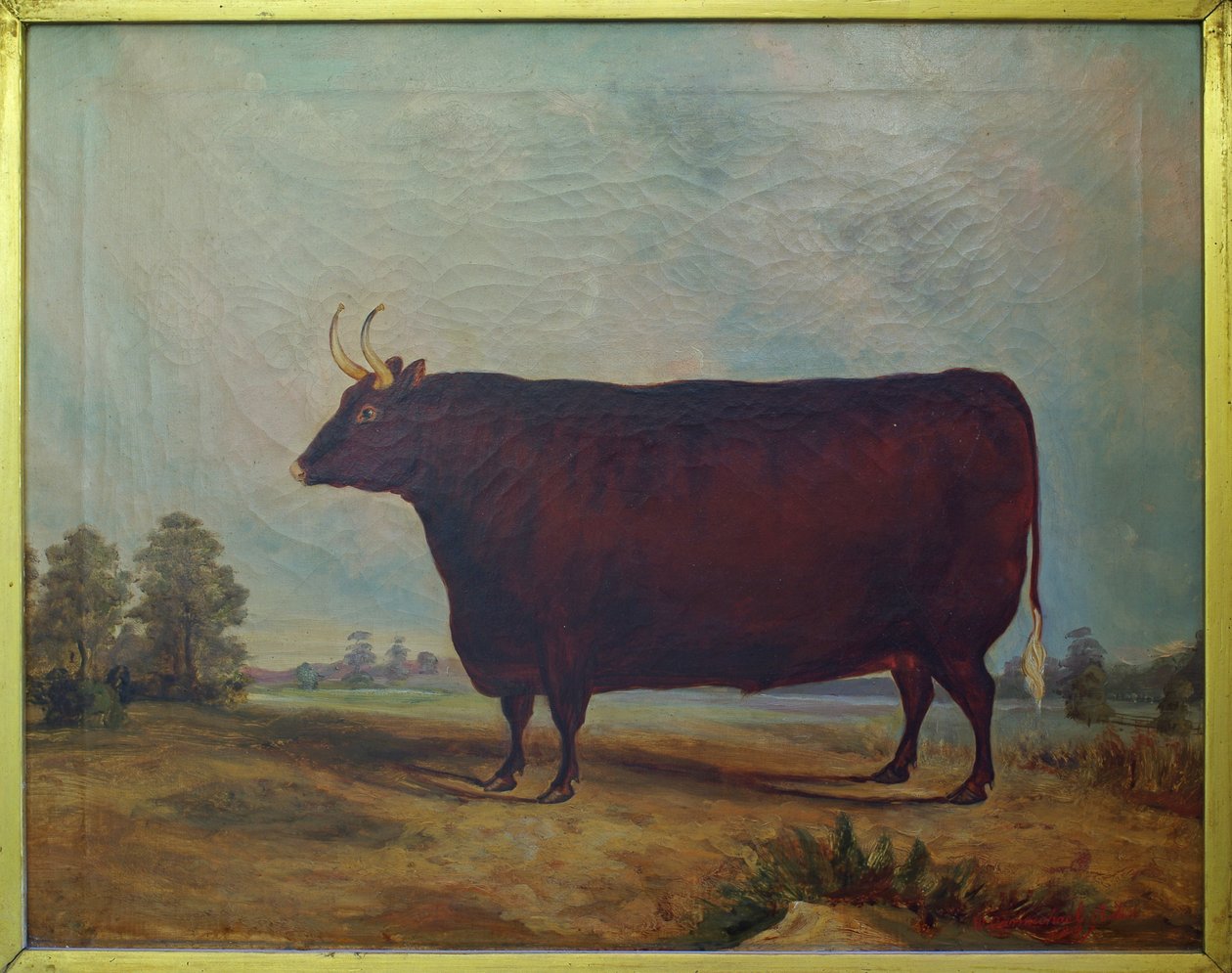 Pohjois-Devonin härkä maisemassa, 1837 tekijältä William Carmichael Baker