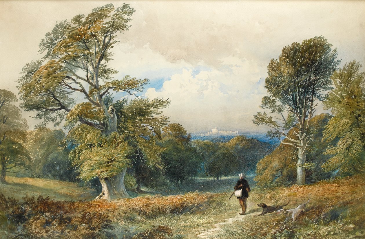 Rough Shooting Windsor Great Parkissa (wc paperilla) tekijältä William Collingwood Smith