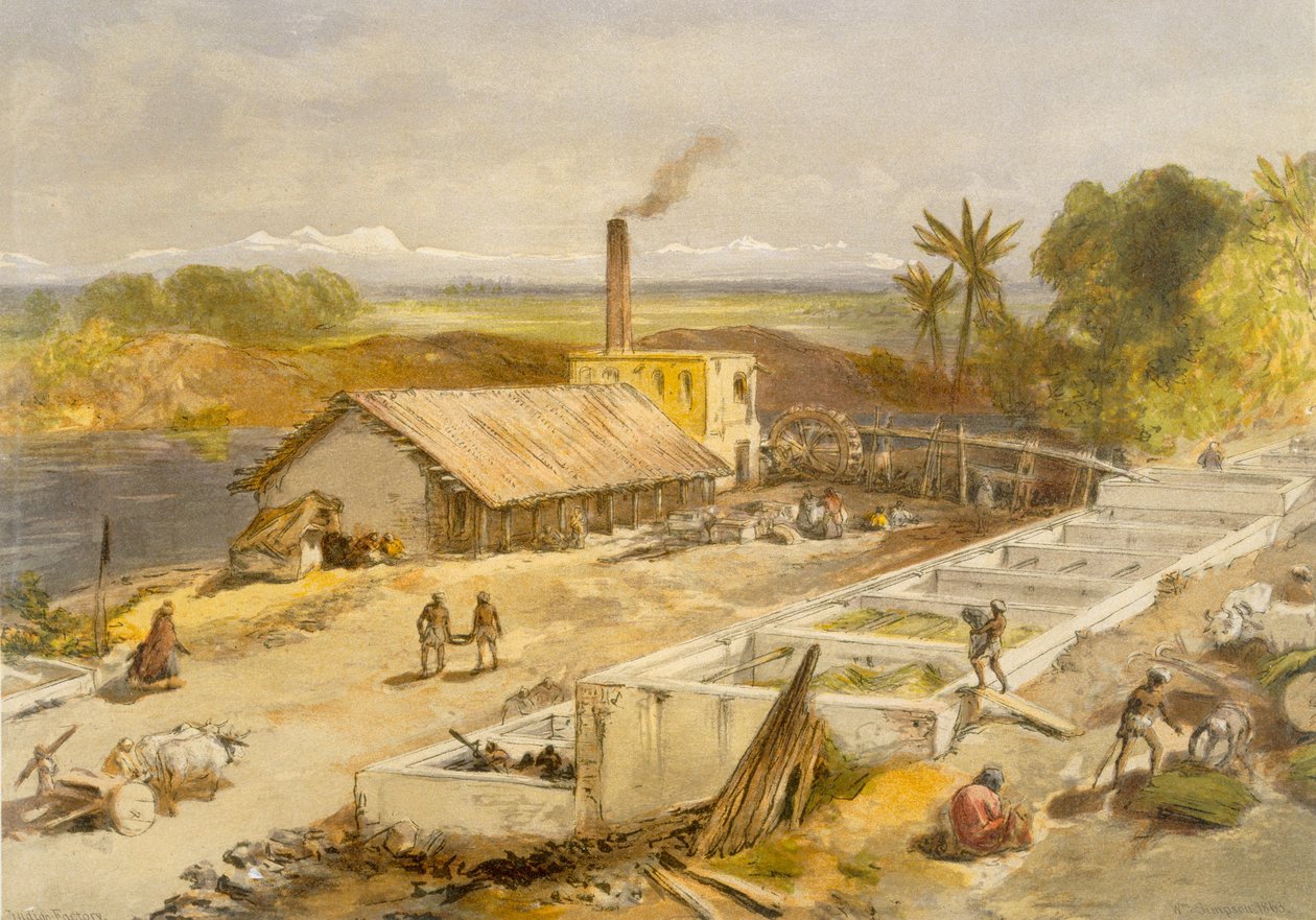 Indigo Factory - Bengal, Intian muinaisesta ja modernista, 1867 tekijältä William Crimea Simpson