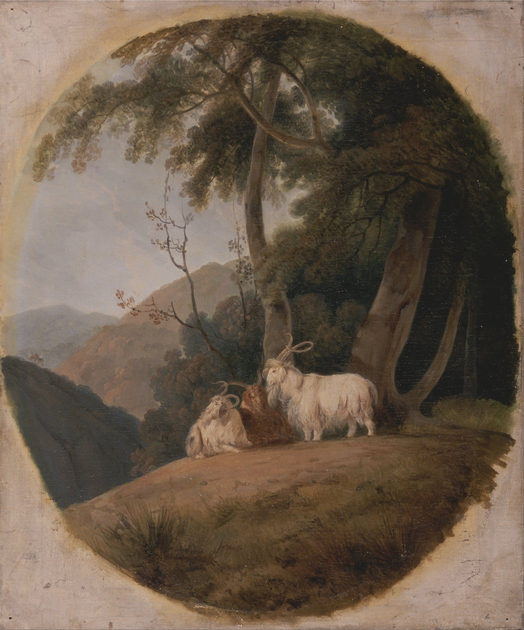 Kashmirin vuohet tekijältä William Daniell