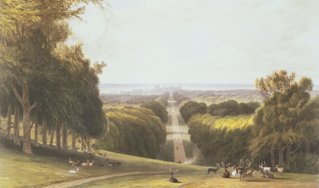 The Long Walk, Windsor Park, kokoelma Windsorin, Etonin ja Virginia Waterin näkymistä, n. 1827-30 tekijältä William Daniell
