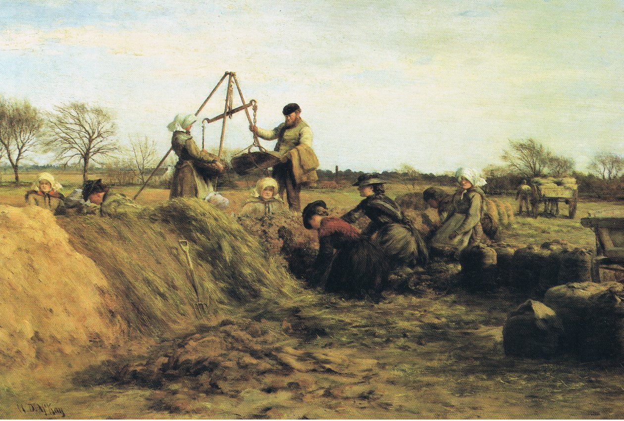 Kenttätyötä keväällä - perunakuopat tekijältä William Darling Mackay