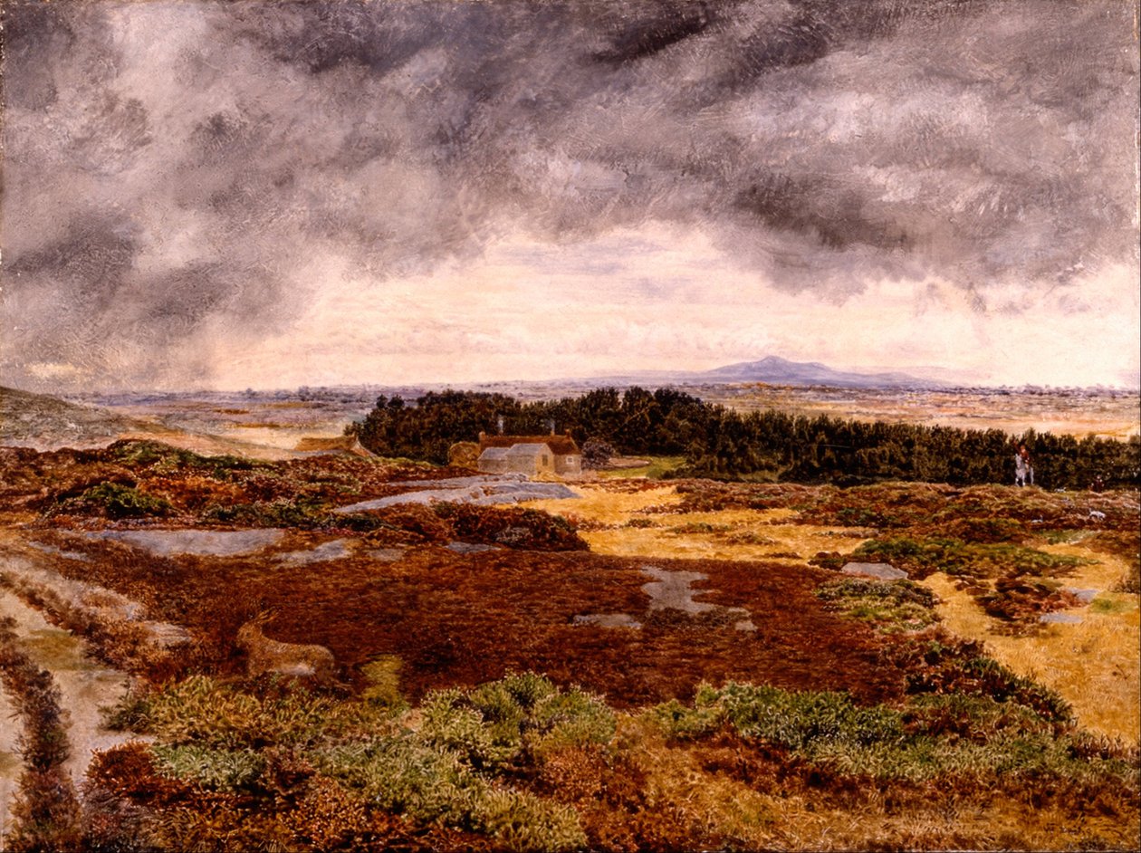 Näkymä Bidston Hilliltä tekijältä William Davis