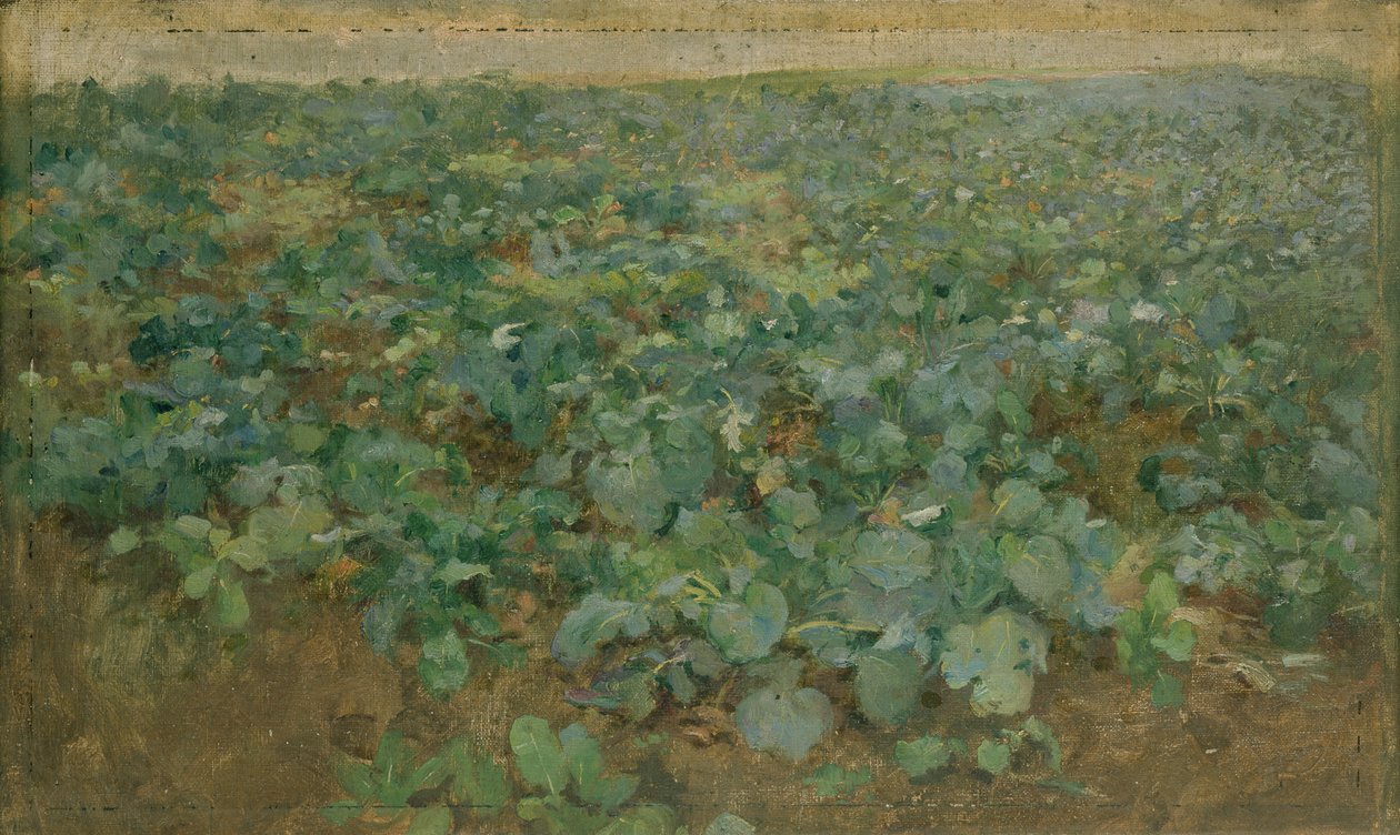 Nauriin kenttä tekijältä William Edward Stott