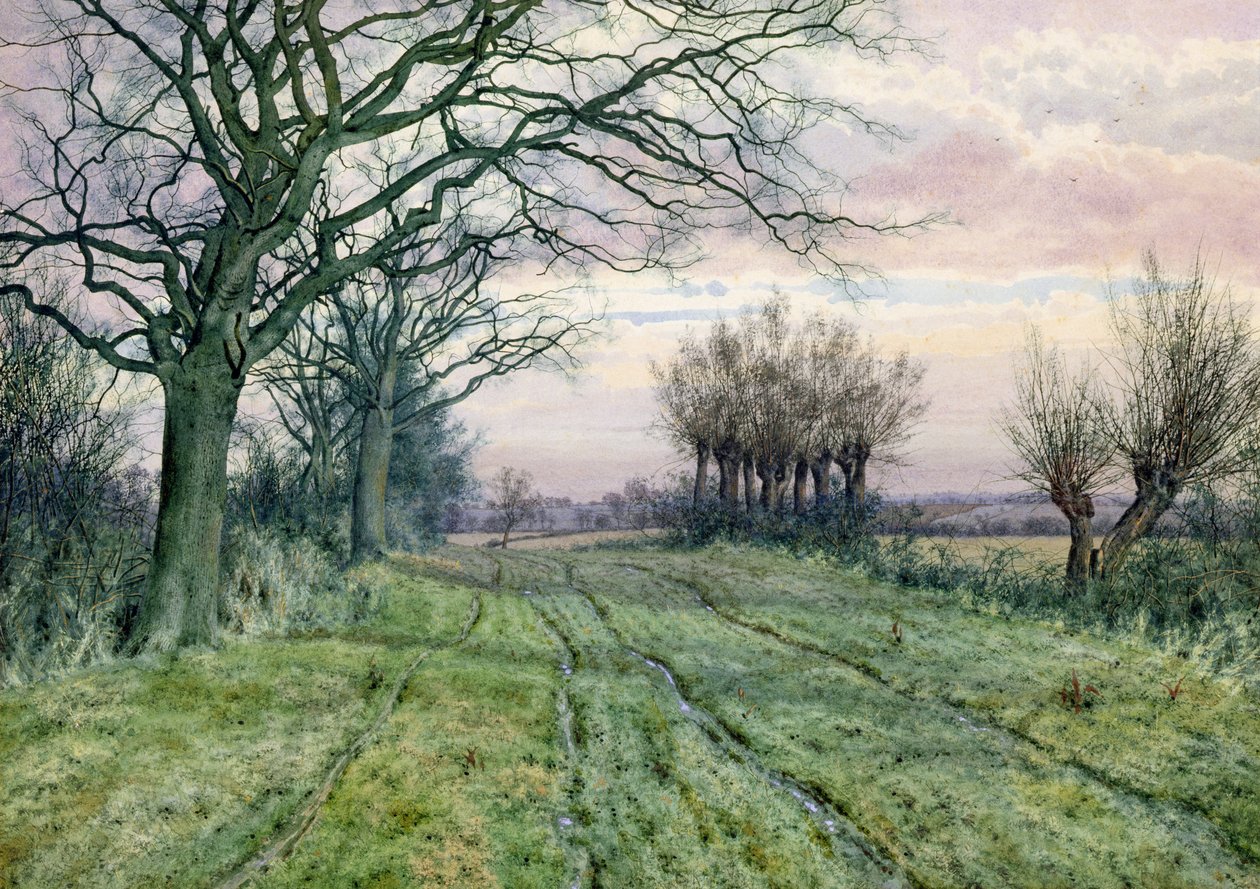 Fenland Lane ja pollarded Willows, 1887 tekijältä William Fraser Garden