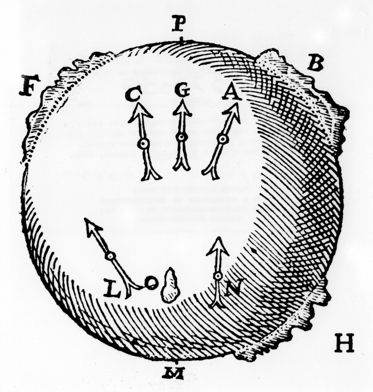 Terrellan tai maapallon muotoinen magneetti, jossa on vuoria edustavia rautakakkareita ja osoittaa magneettineulan pohjoiseen suuntautuvan ominaisuuden. Kirjailija: William Gilbert De Magnete, Lontoo, 1600 tekijältä William Gilbert