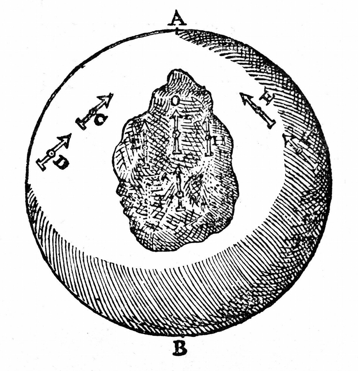 Terrellan magneettiset neulat osoittavat kohti pohjoisnavaa, A. muut neulat tekevät samoin, vaikka terrellan pinta on epätasainen, kuten O. William Gilbert De Magnetelta, Lontoosta tekijältä William Gilbert