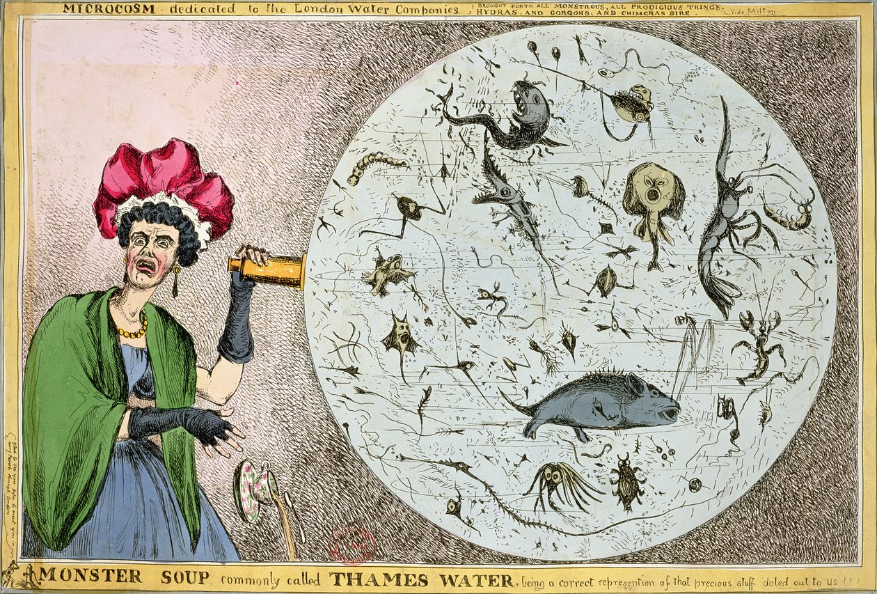 Lontoon vesiyhtiöille omistettu mikrokosmos: Monster-keitto, jota yleisesti kutsutaan Thames Wateriksi, on oikea esitys meille jaetusta arvokkaasta tavarasta!!!, kaiverrettu ja julkaistu vuonna 1828 b. tekijältä William Heath