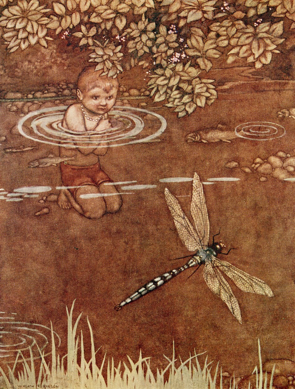 Hän oli hieman ylimielinen hienoista väreistään ja suurista siipeistään tekijältä William Heath Robinson