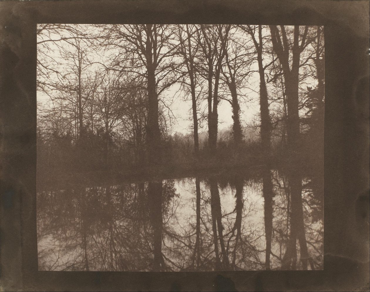 Puut ja heijastukset tekijältä William Henry Fox Talbot
