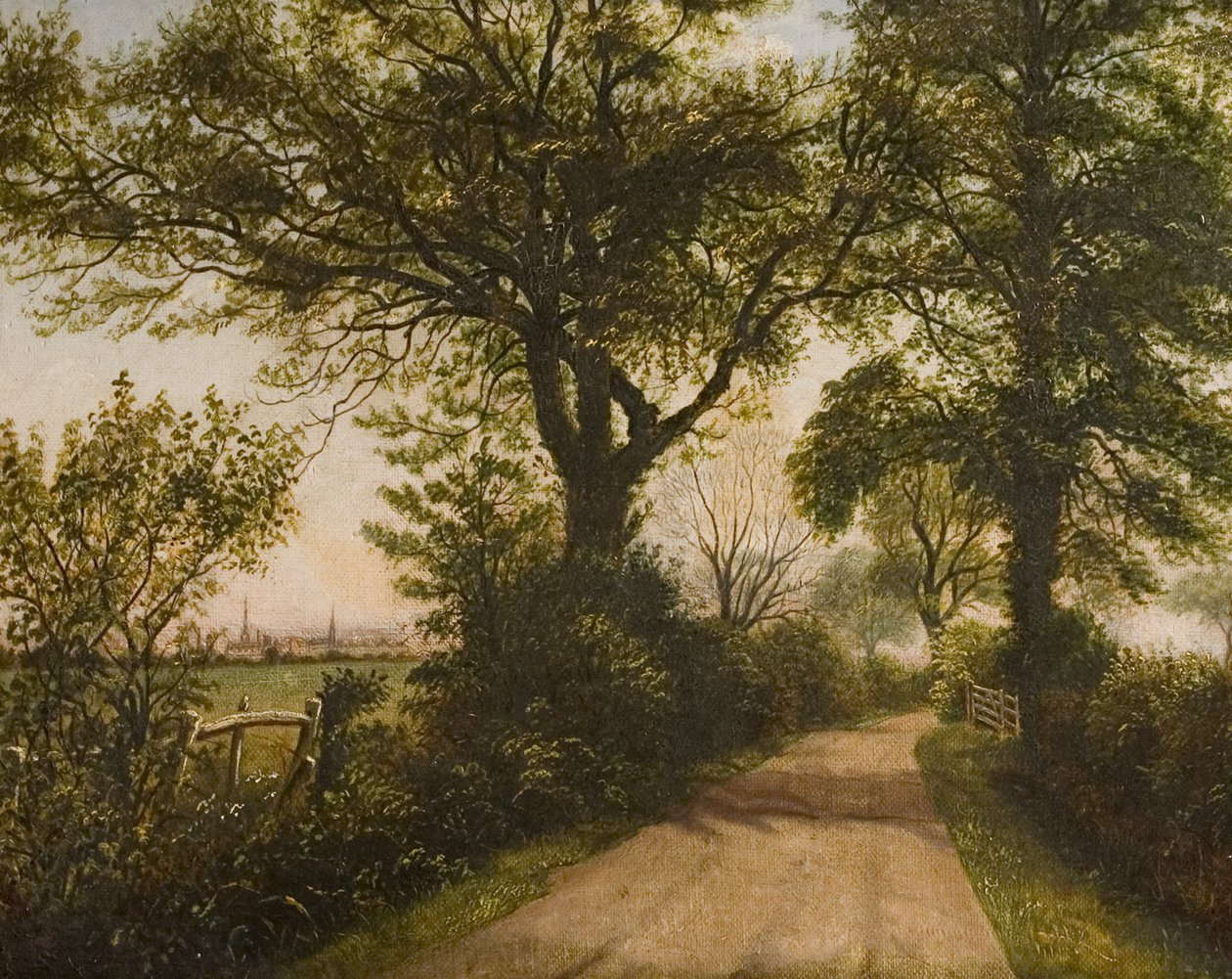 Kaukainen näkymä Coventrysta, 1800-luvun loppu tekijältä William Howard Reeve