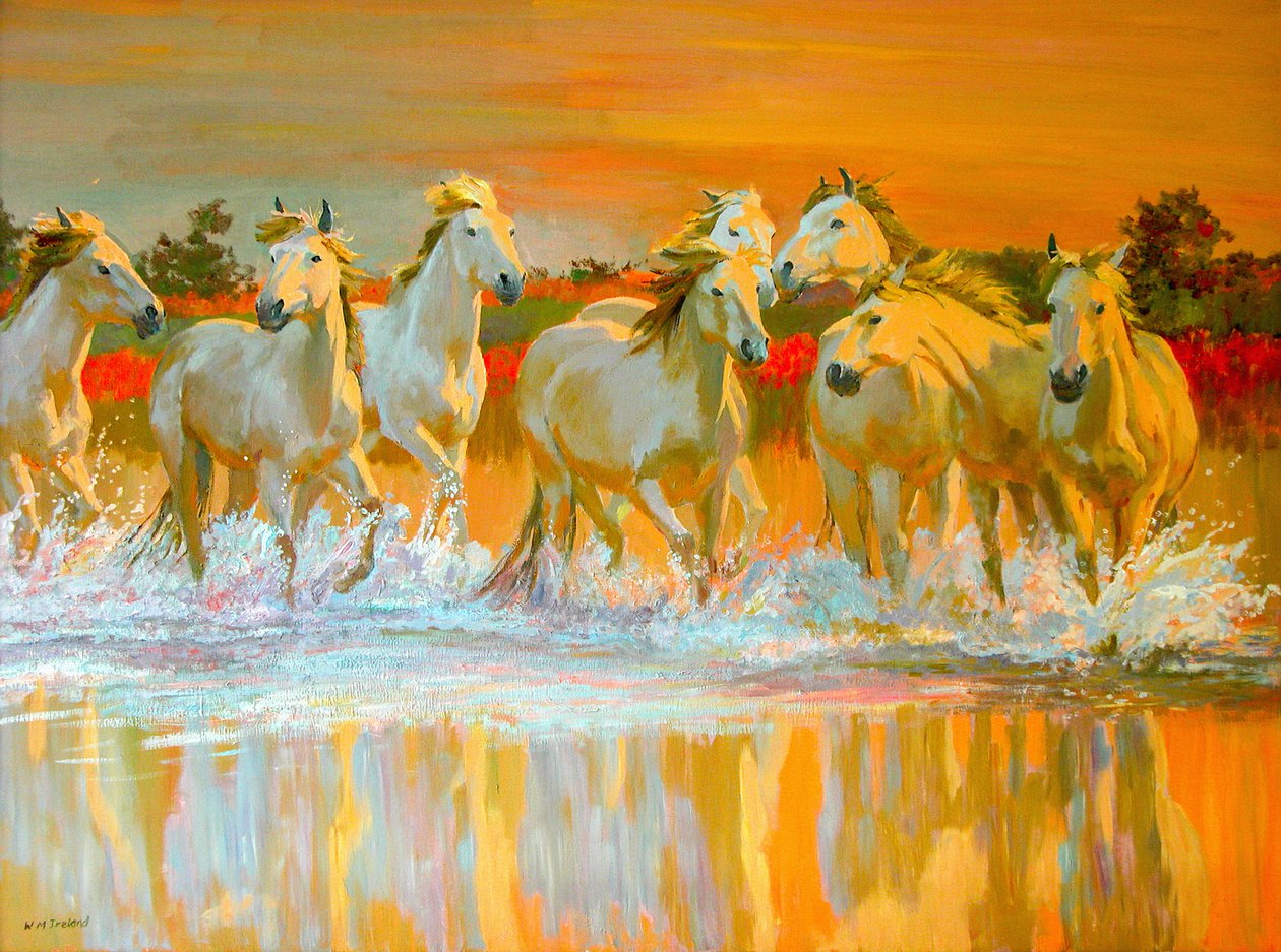 Camargue tekijältä William Ireland