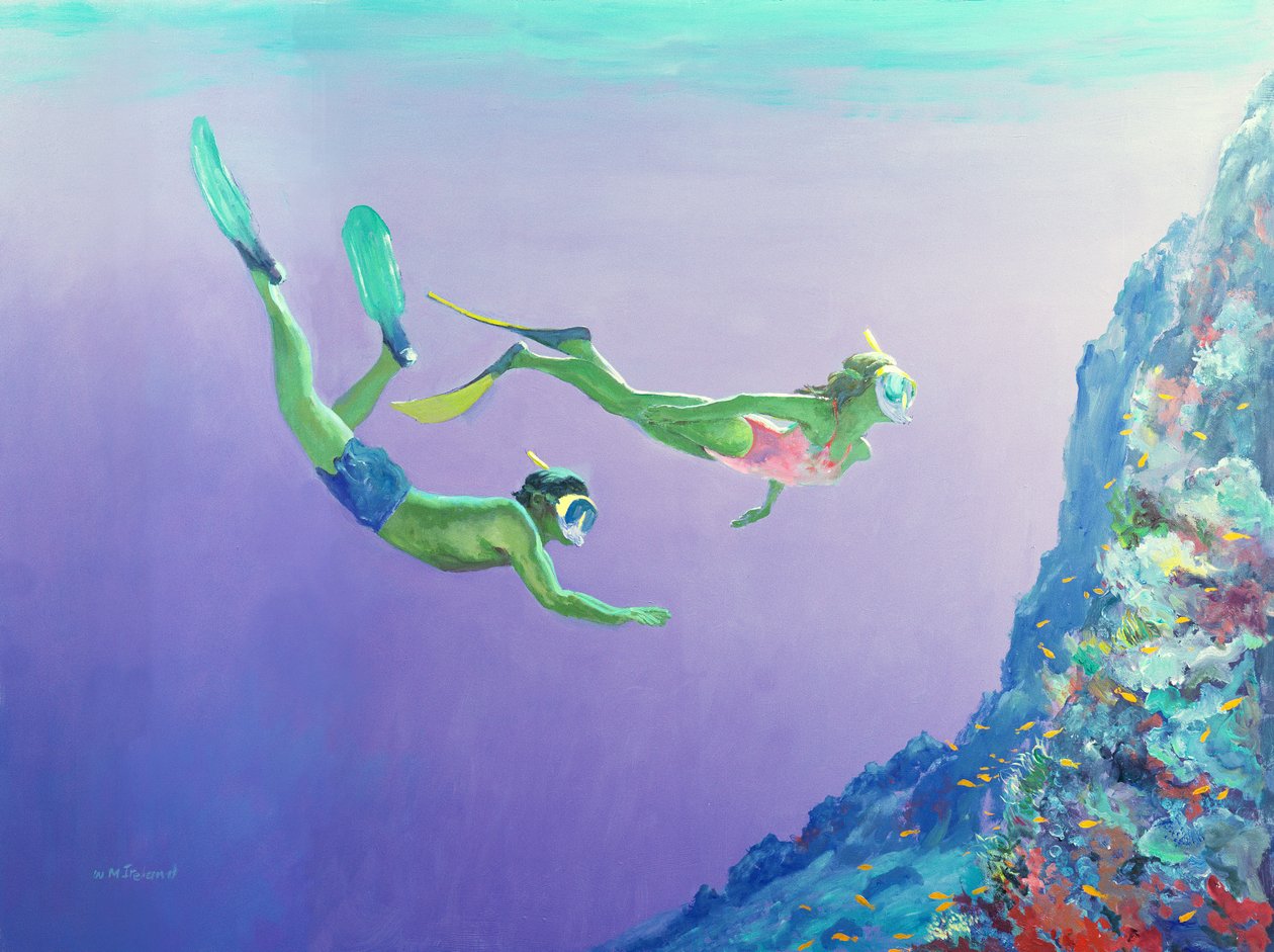 Snorklers tekijältä William Ireland