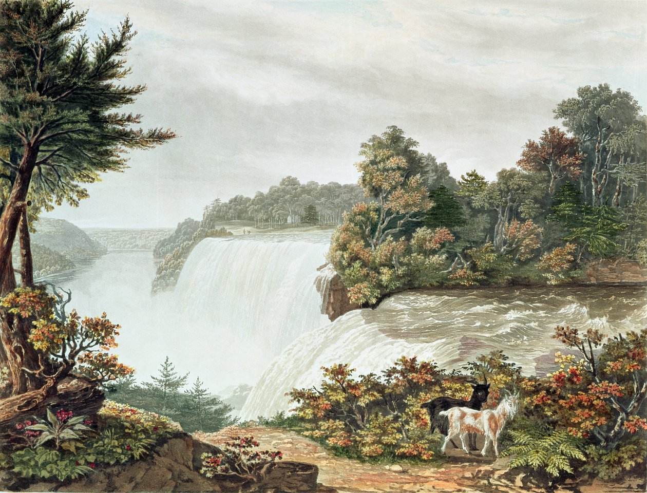 Niagaran putoukset Goat Islandilta tekijältä William James Bennett