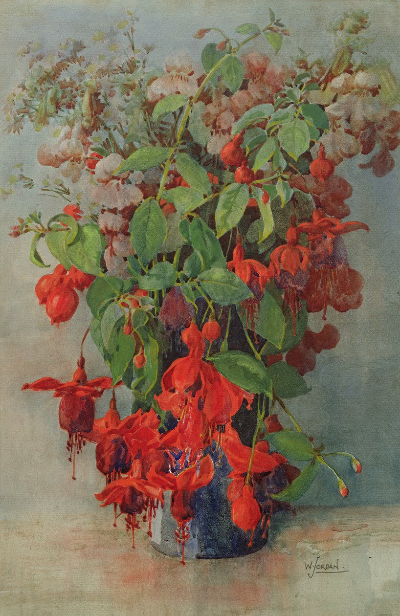 Fushia ja Snapdragon maljakossa (lyijykynä ja wc) tekijältä William Jordan