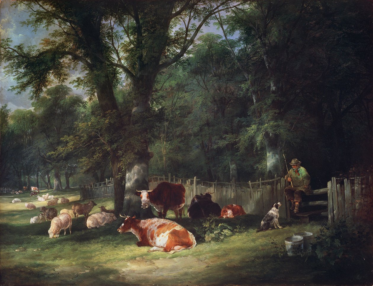 Varjoisa nurkka tekijältä William Joseph Shayer