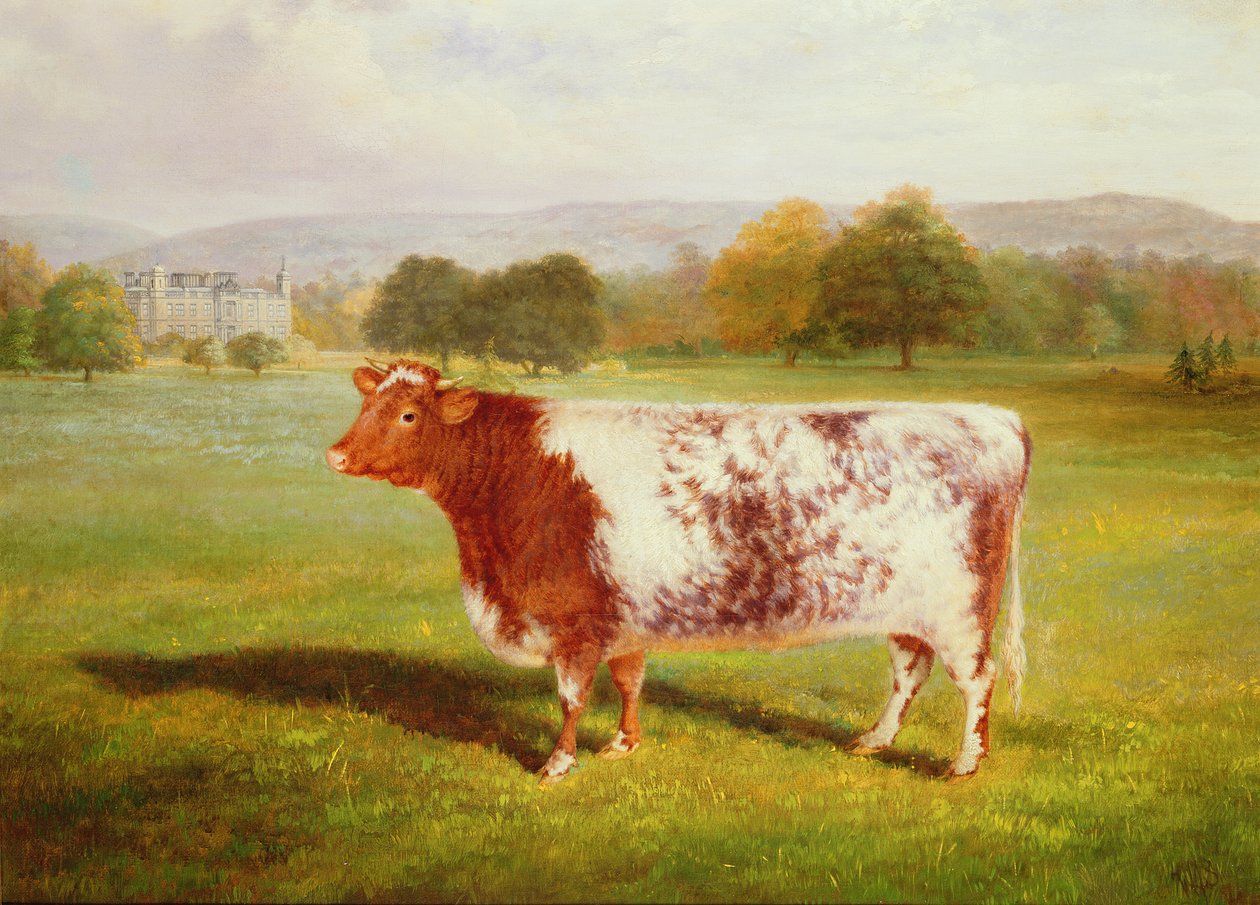 Shorthornin muotokuva, 1800-luku tekijältä William Joseph Shayer