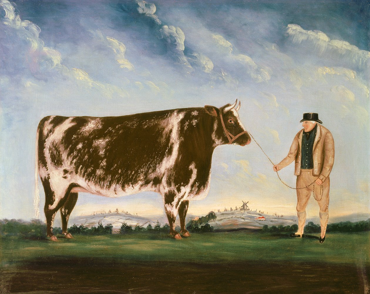 Shorthornin tutkimus tekijältä William Joseph Shayer