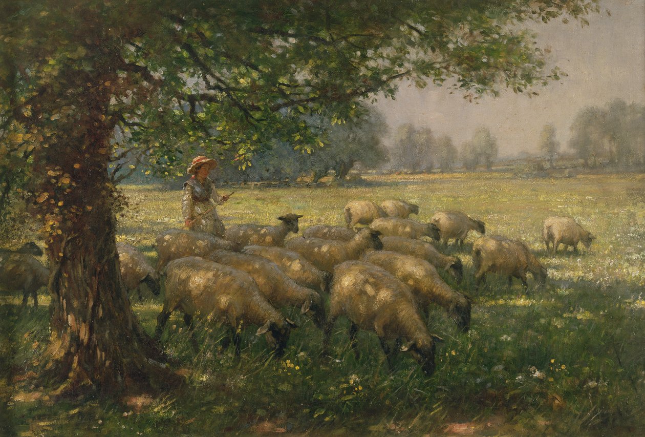 Paimentar tekijältä William Kay Blacklock