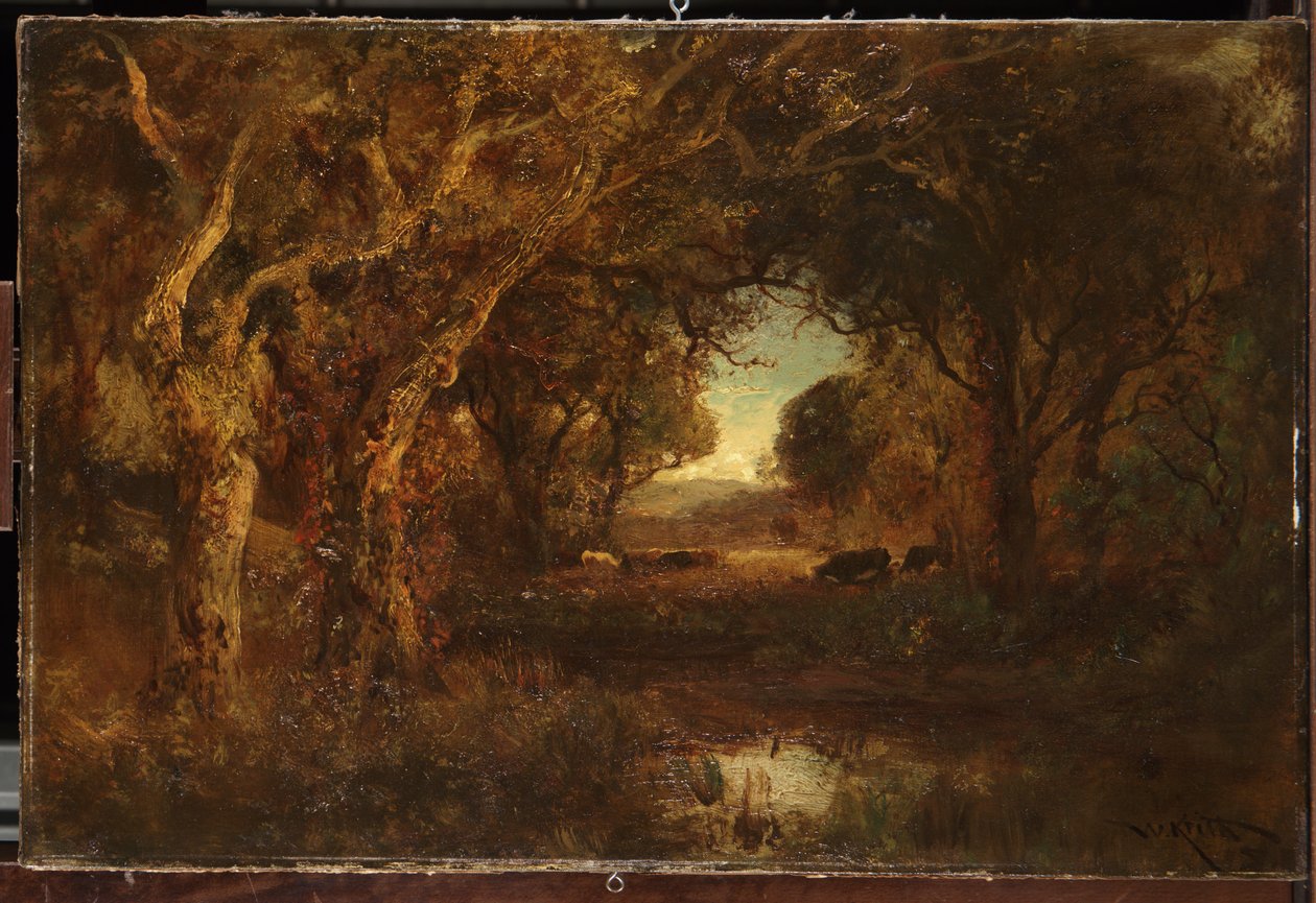 Auringonlaskun maisema puilla tekijältä William Keith