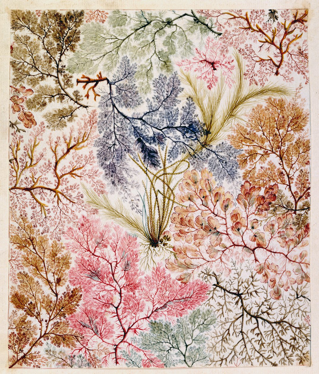 Tekstiilisuunnittelu, n. 1788-1792 tekijältä William Kilburn