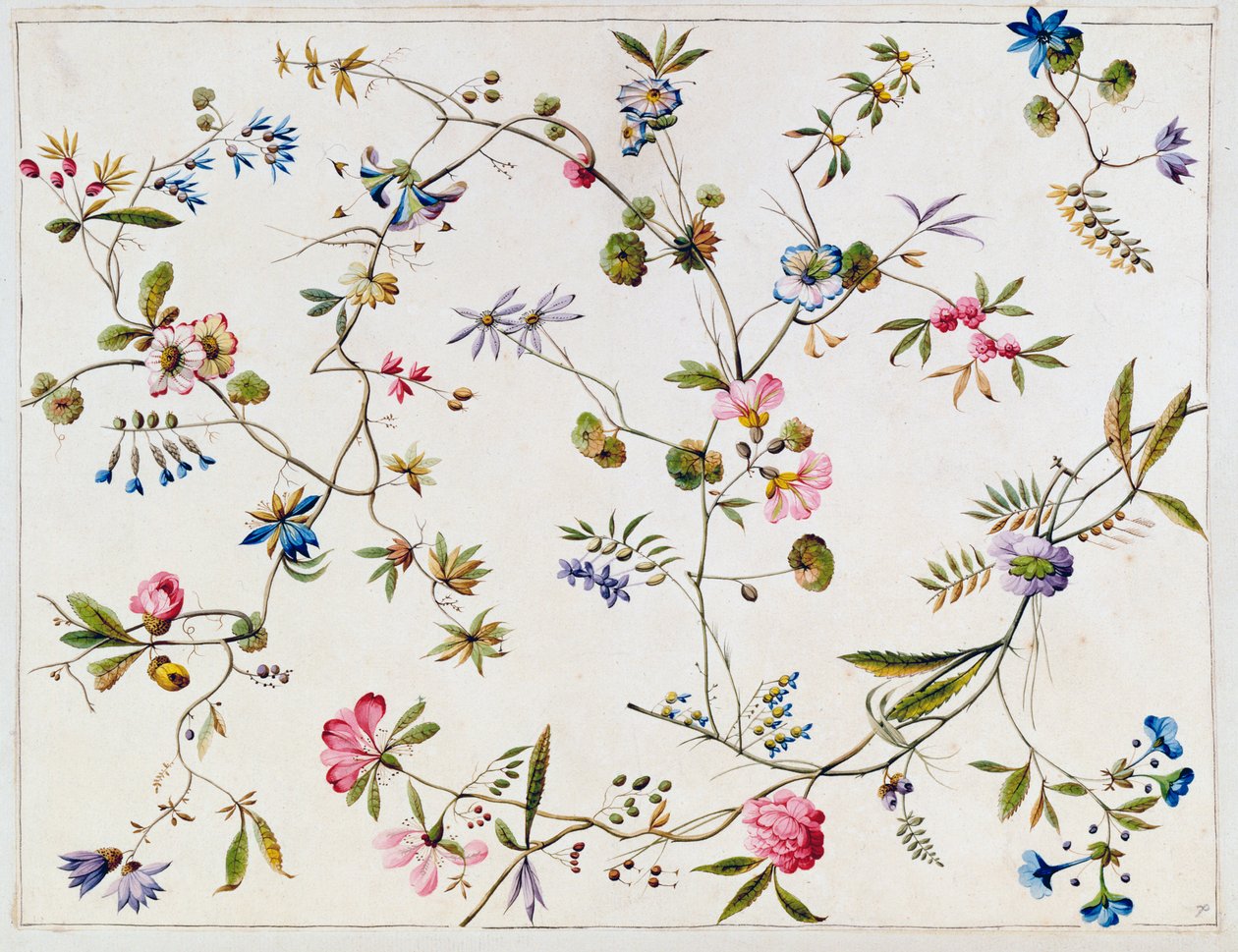 Tekstiilisuunnittelu, noin 1788-92 tekijältä William Kilburn