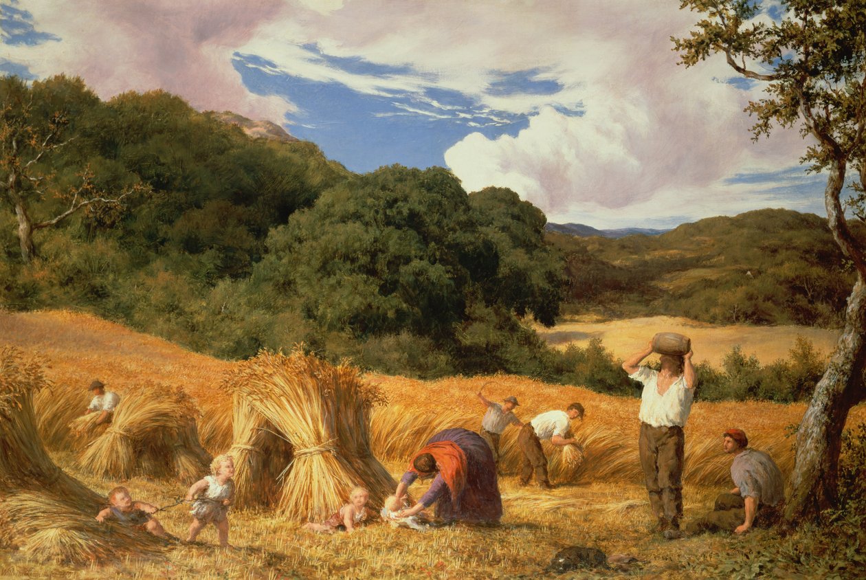 Cornfield Surreyssa, 1860 tekijältä William Linnell
