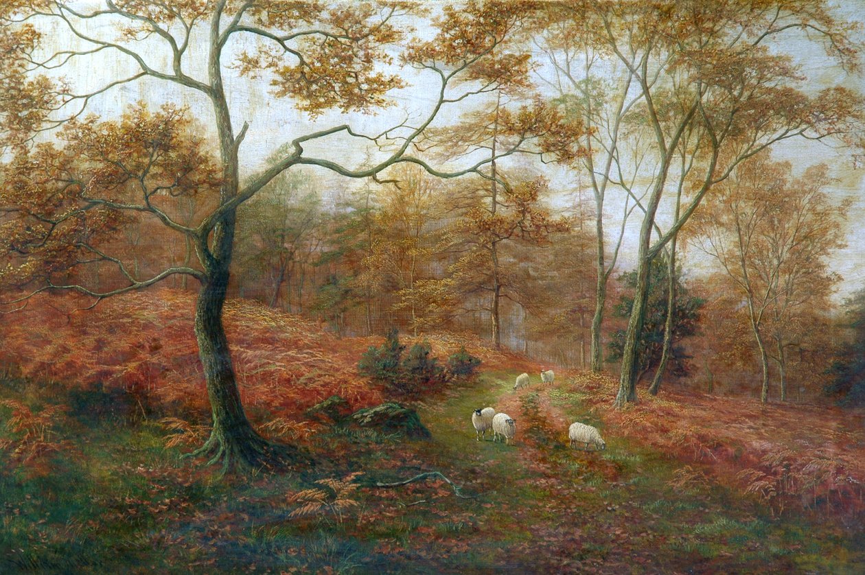 Bolton Woods, Yorkshire tekijältä William Mellor