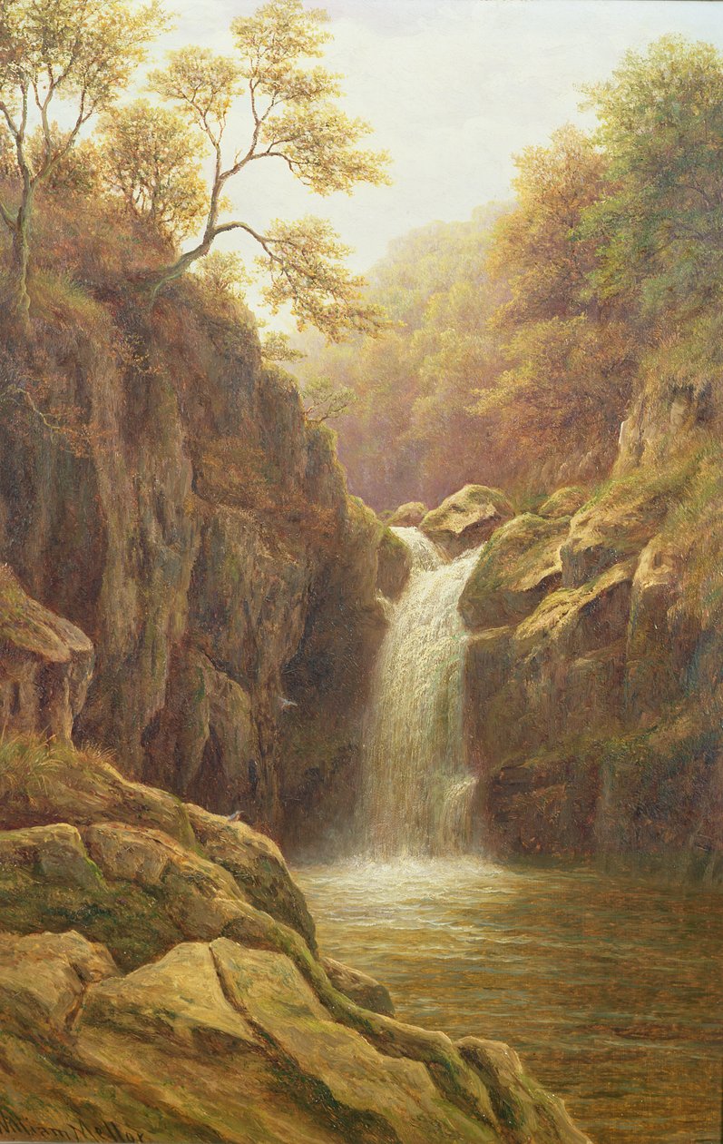Pecca Foss tekijältä William Mellor