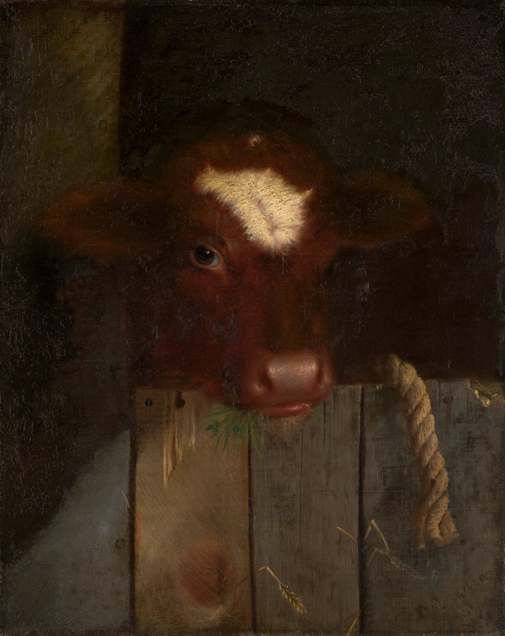 Perheen lehmä (vasikan pää) tekijältä William Merritt Chase