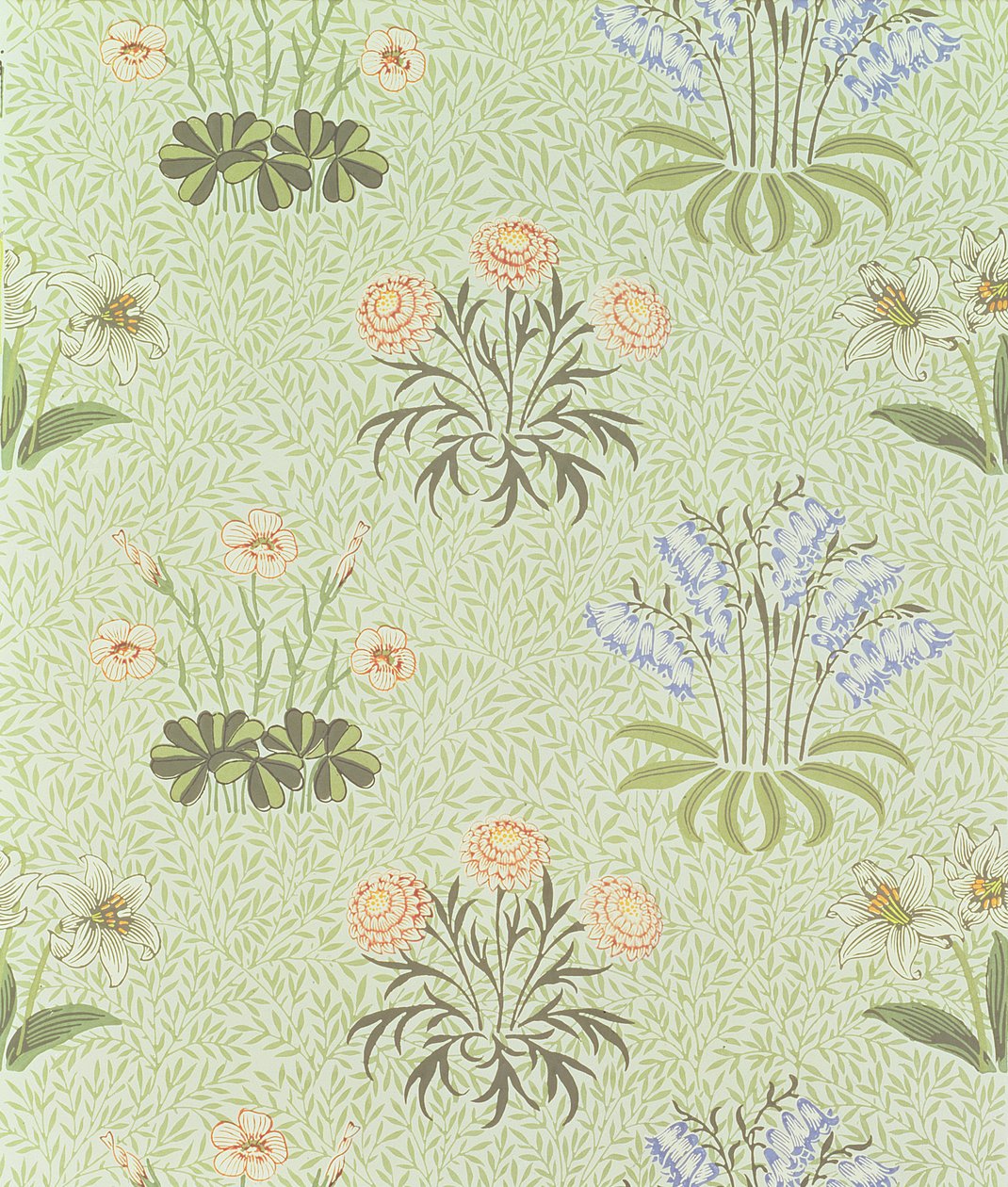 Daisy-design-tapetti, jossa on kielo ja muita luonnonkukkia "paju"-taustalla, suunnittelija William Morris (1834-96) 1862 tekijältä William Morris