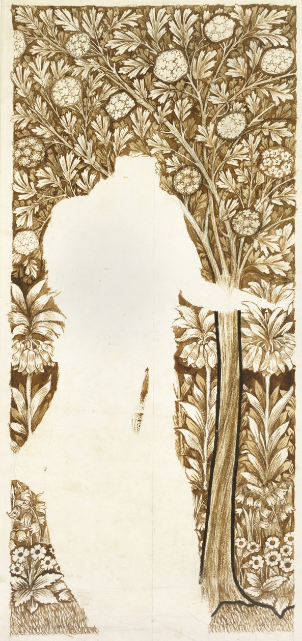 Suunnittelu lehtien taustalle (keskeneräinen) (grafiitti ruskeilla pesuaineilla) tekijältä William Morris
