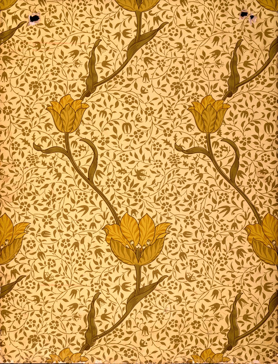 "Garden Tulip" tapettisuunnittelu, 1885 (värillinen puupalikkapainatus paperille) tekijältä William Morris