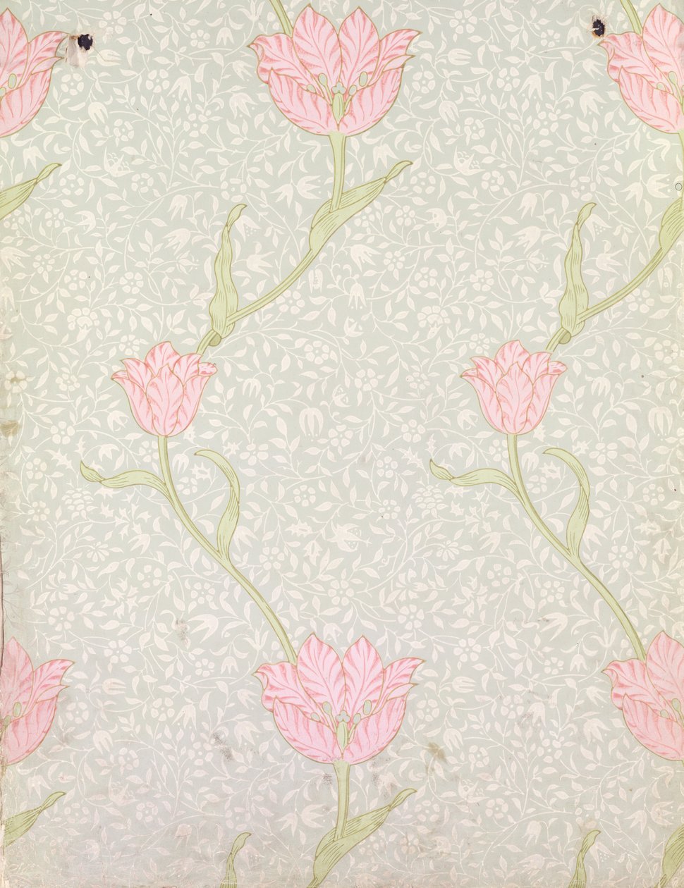 "Garden Tulip" tapettisuunnittelu, 1885 tekijältä William Morris