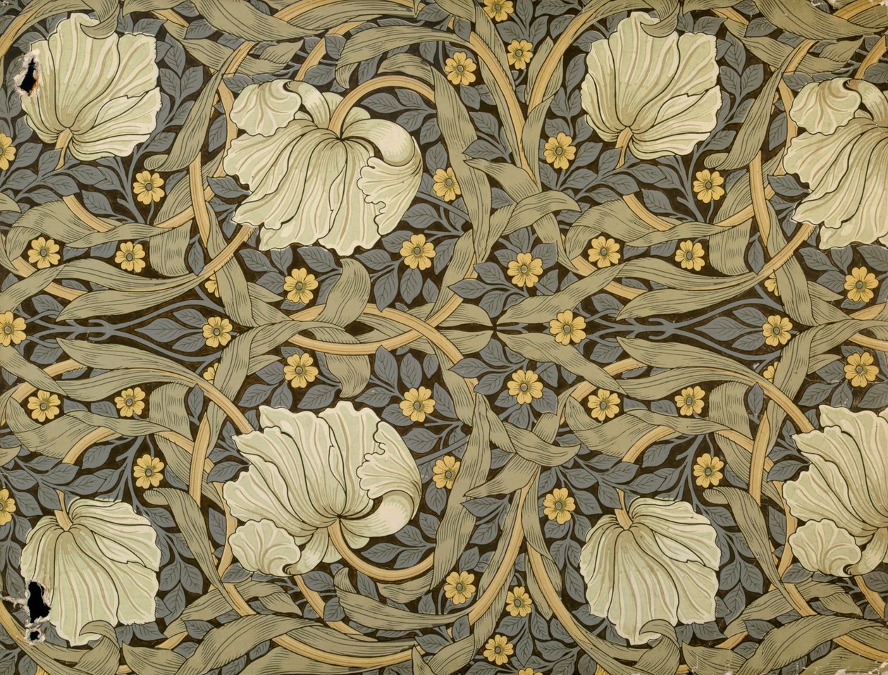 Pimpernel, design tapetille, 1876 tekijältä William Morris