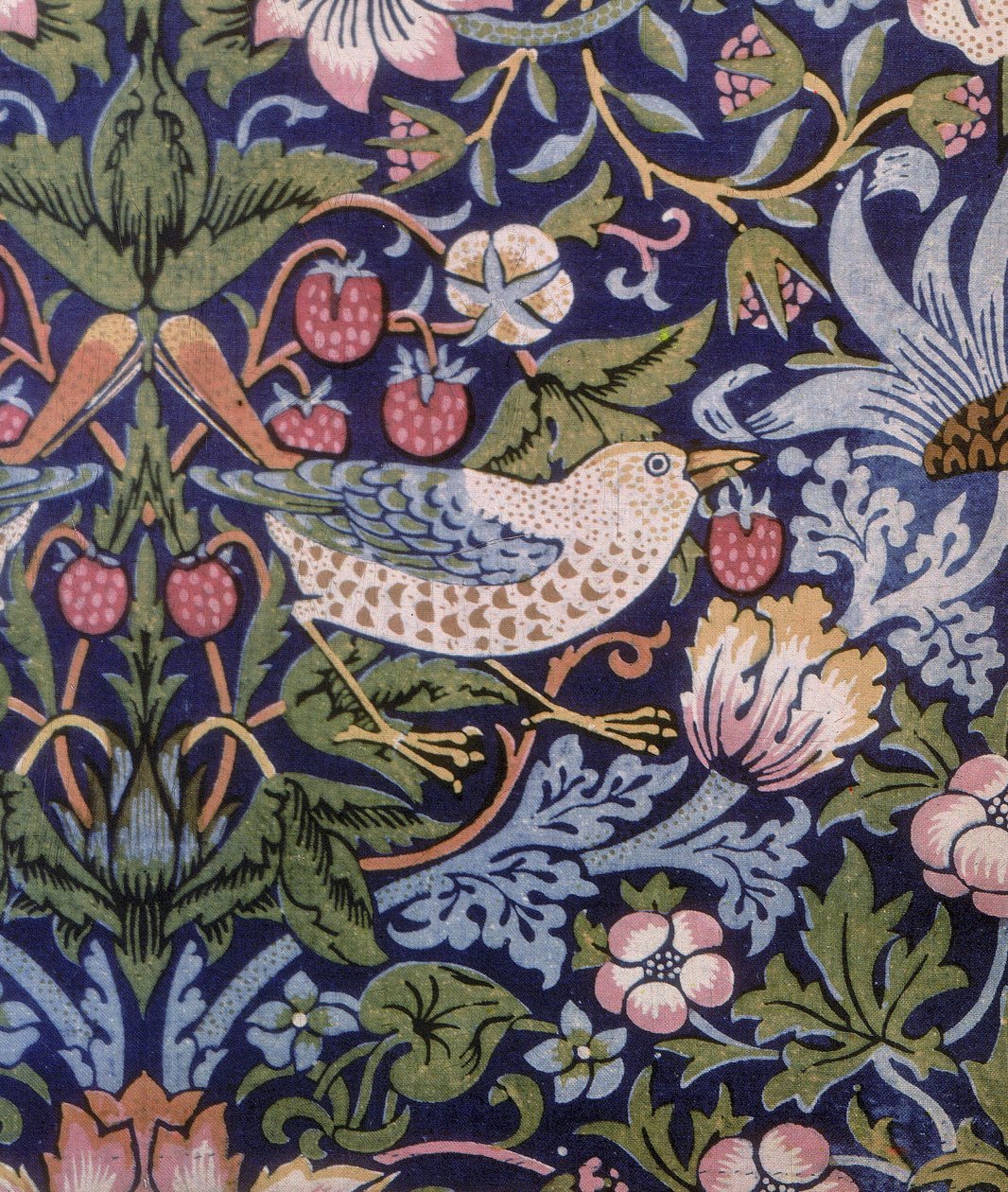 Strawberry Thief verho, 1883 (painettu tekstiili) tekijältä William Morris