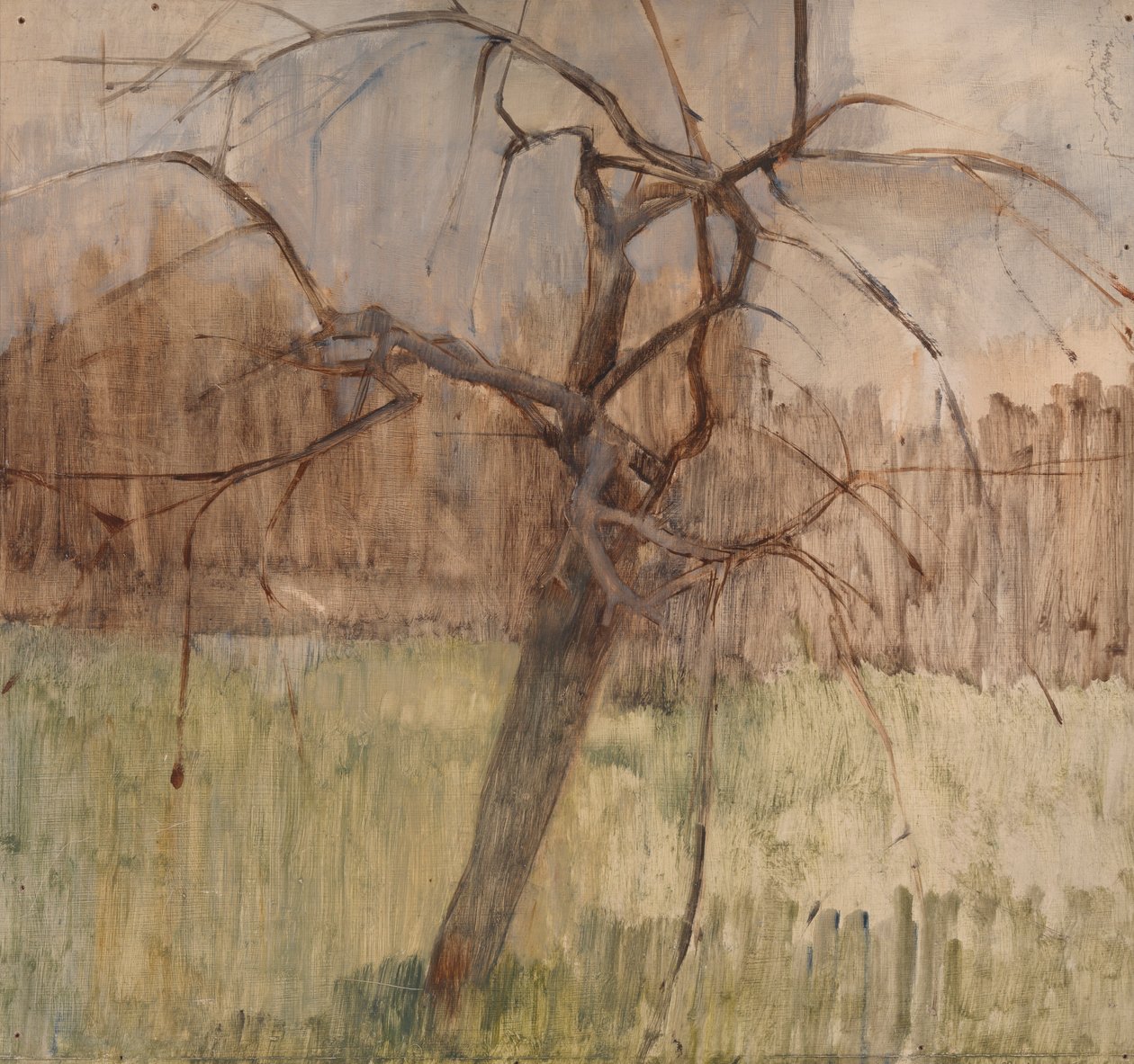 Omenapuu, 1963 tekijältä William Packer