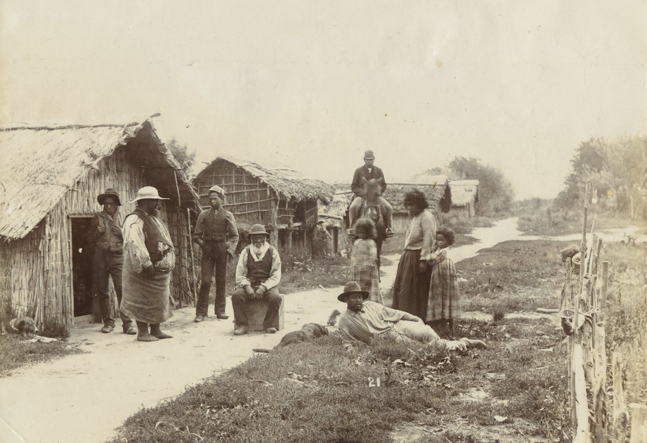 Kaiwhaiki pa, Upokongaro, n.1895 (hopeagelatiinipaino) tekijältä William Partington
