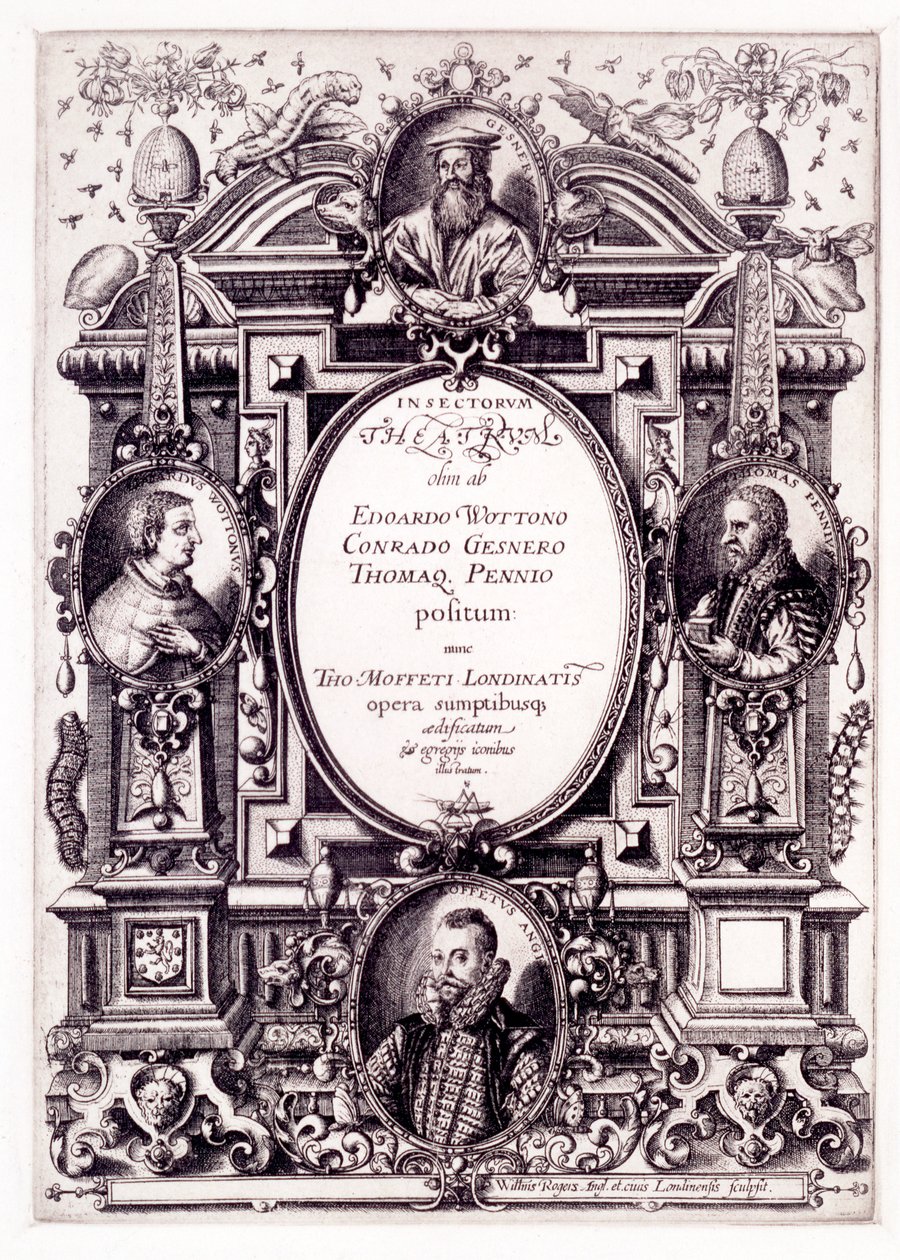 Tabletop Theatre of Insects -lehti, 1590-luvun loppu tekijältä William Rogers