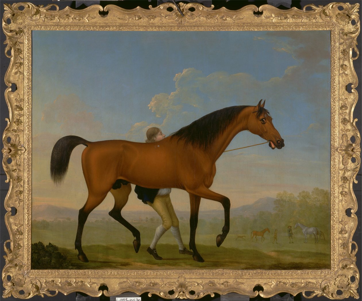 The Duke of Ancasters Bay Stallion, Tyhjä, Kävelee tammaa kohti tekijältä William Shaw