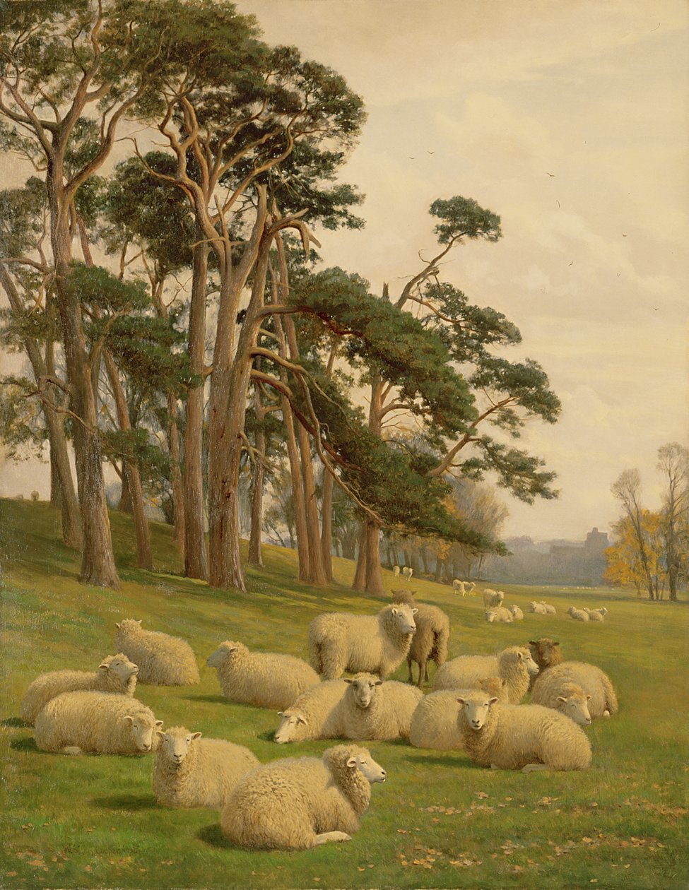 Auringon valaisemat laitumet tekijältä William Sidney Cooper