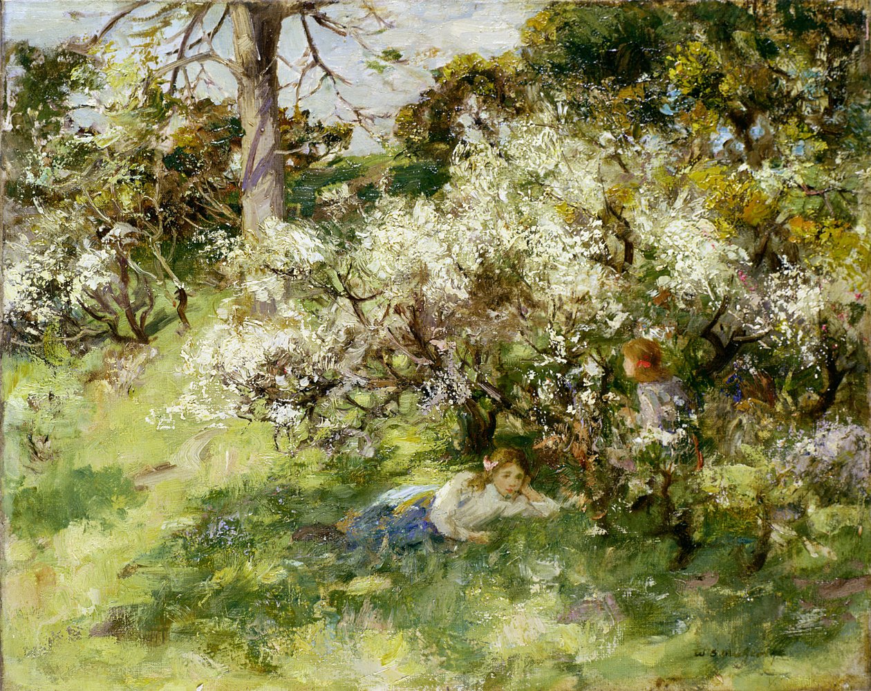 Sloe Blossom tekijältä William Stewart MacGeorge