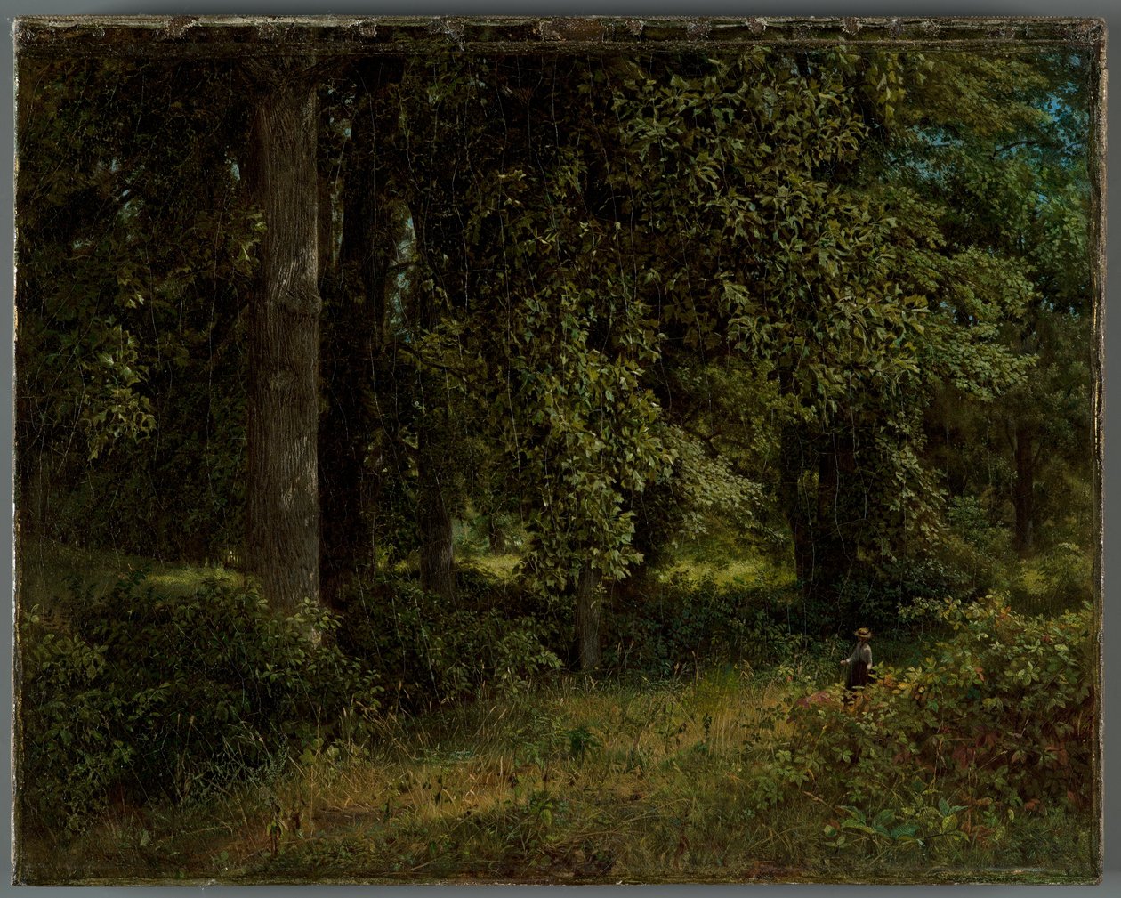 Tulppaanipuut, 1859 tekijältä William Trost Richards
