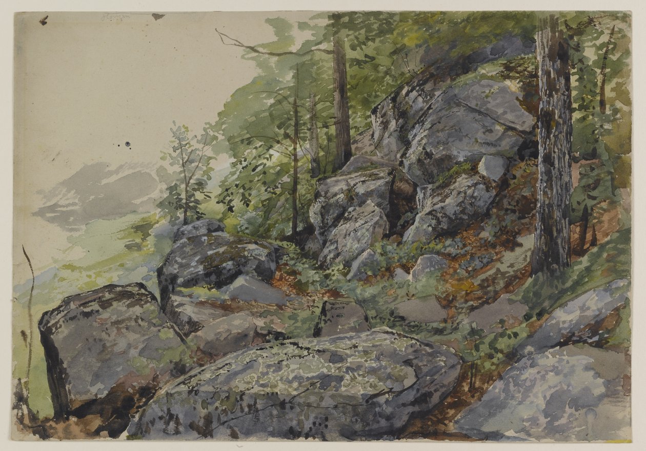 Woodland Boulders, n. 1877-1878 (wc grafiitin päällä teksturoidulla kudospaperilla) tekijältä William Trost Richards