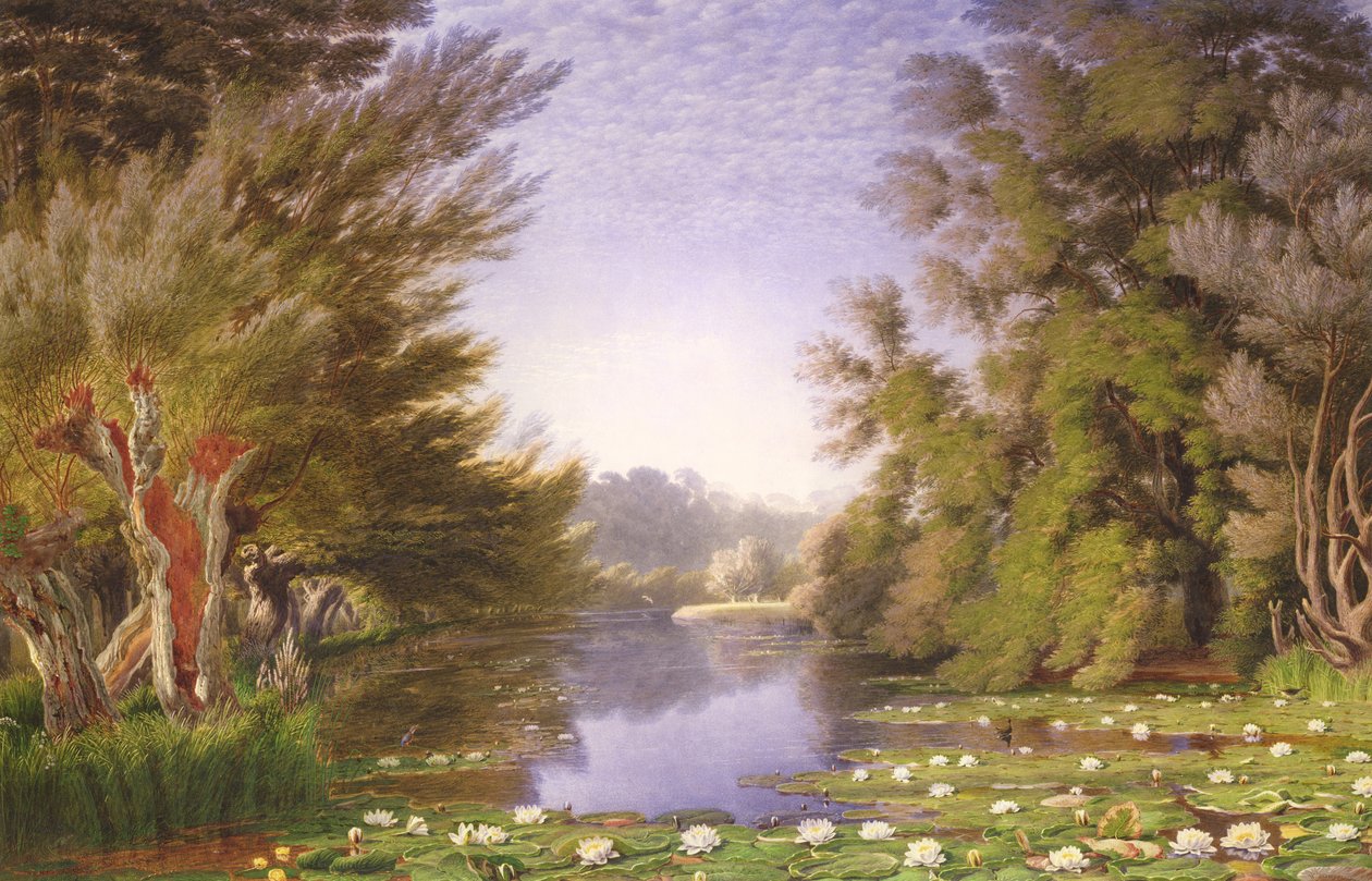 Vesililjat Cherwellissä tekijältä Joseph Mallord William Turner