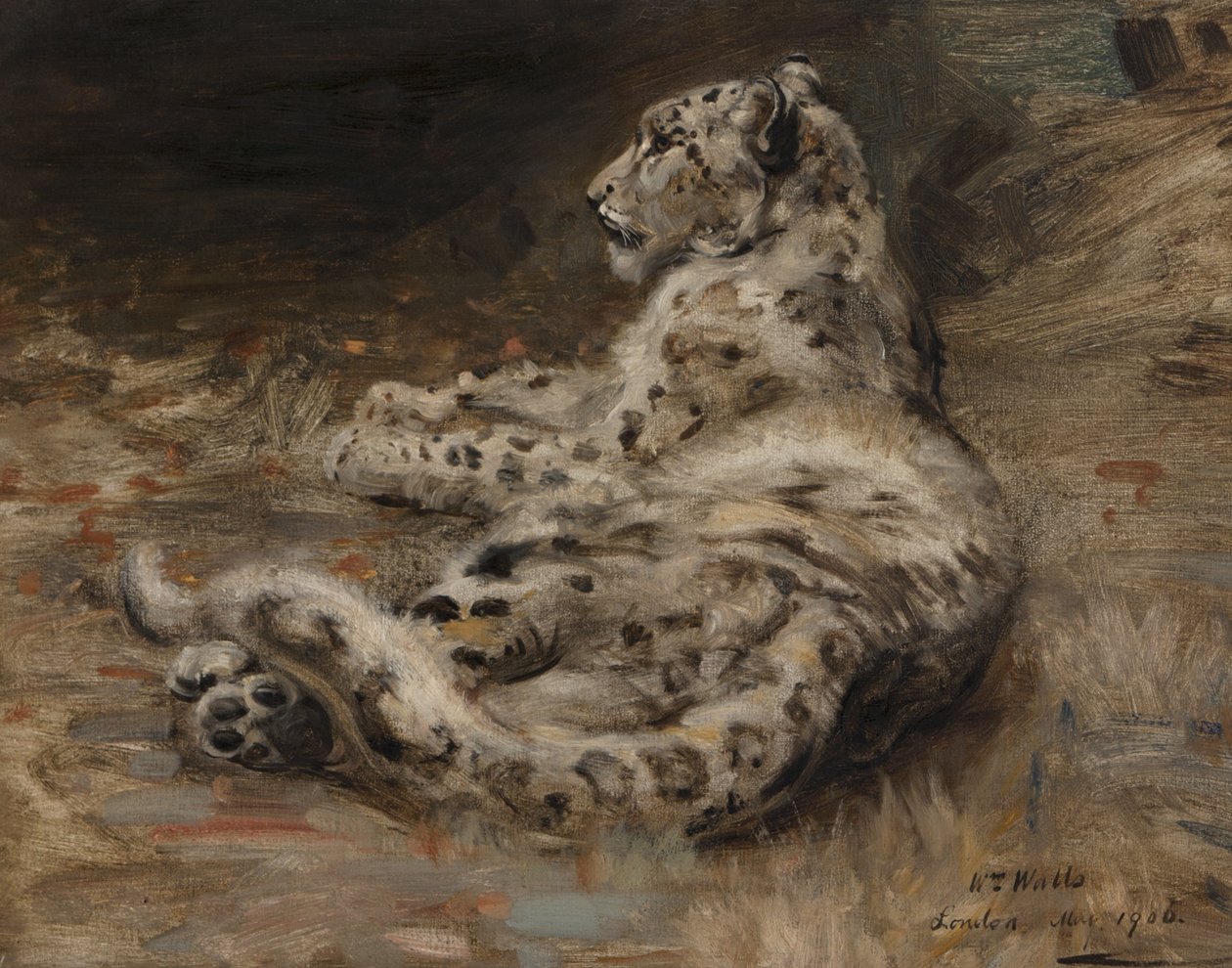Leopardi, 1906 tekijältä William Walls